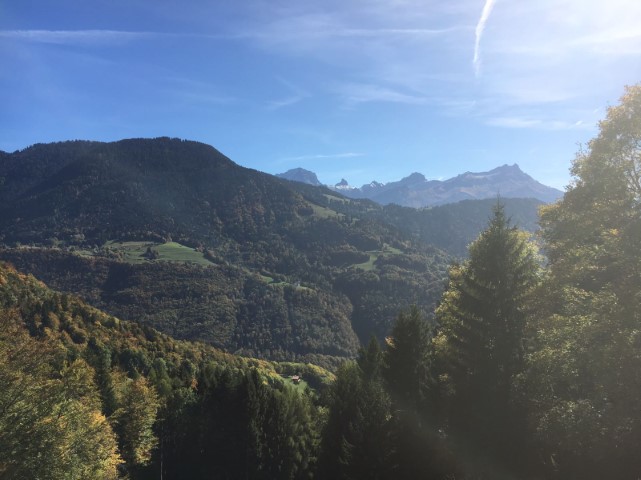 Paysage Été